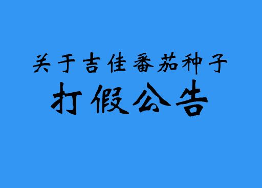 吉佳番茄种子打假公告